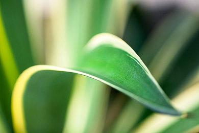 日本一将于11月20日公布新作 或是战略类型游戏